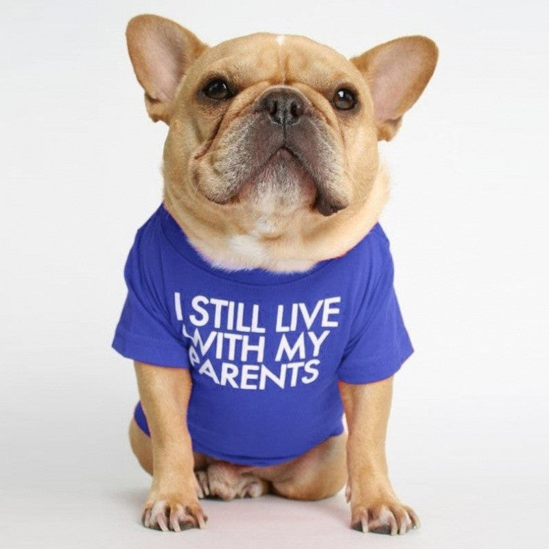 HKM-3422781 Fadou Fashionable Cotton Turtleneck Round Neck T-Shirt for Pets in Various Colors