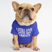 HKM-3422781 Fadou Fashionable Cotton Turtleneck Round Neck T-Shirt for Pets in Various Colors