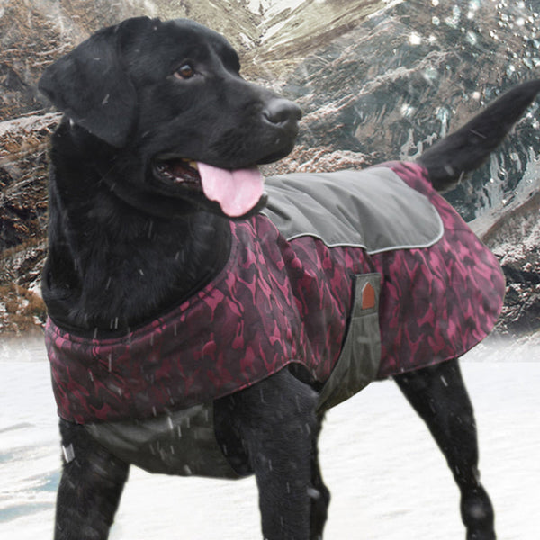 HKM-3424061 Winter Sports Jacket for Medium and Large Dogs, Wind-Proof and Cold-Proof, Available in Army Green, Sapphire Blue, and Fuchsia