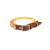 HKM-3424189 Cotton Rope and Leather Dog Leash and Collar Set for Medium to Large Dogs, Multiple Colors Available