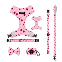 HKM-3425853 Pink Dog Leash Set with Chest Strap, Collar, Bowknot, and Accessories