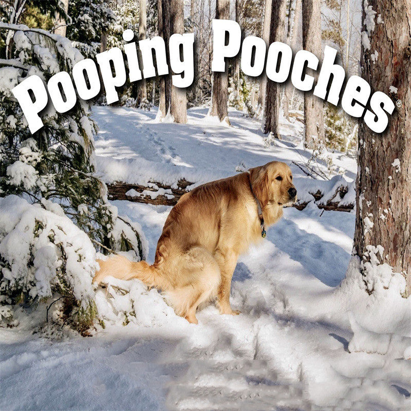 HKM-3427645 Dog Poop Calendar - Idyllic Design, 21x21cm Paper Card
