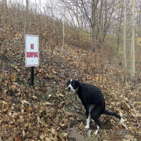 HKM-3427645 Dog Poop Calendar - Idyllic Design, 21x21cm Paper Card
