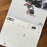 HKM-3427645 Dog Poop Calendar - Idyllic Design, 21x21cm Paper Card