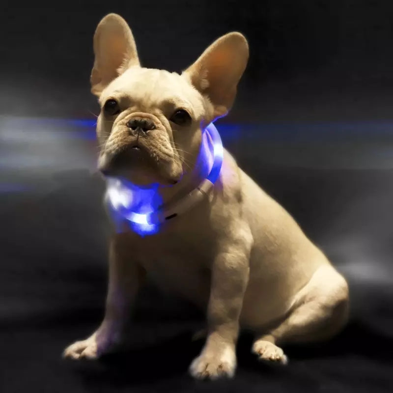 HKM-3432765 LED Pet Safety Collar with Adjustable Modes and USB Charging