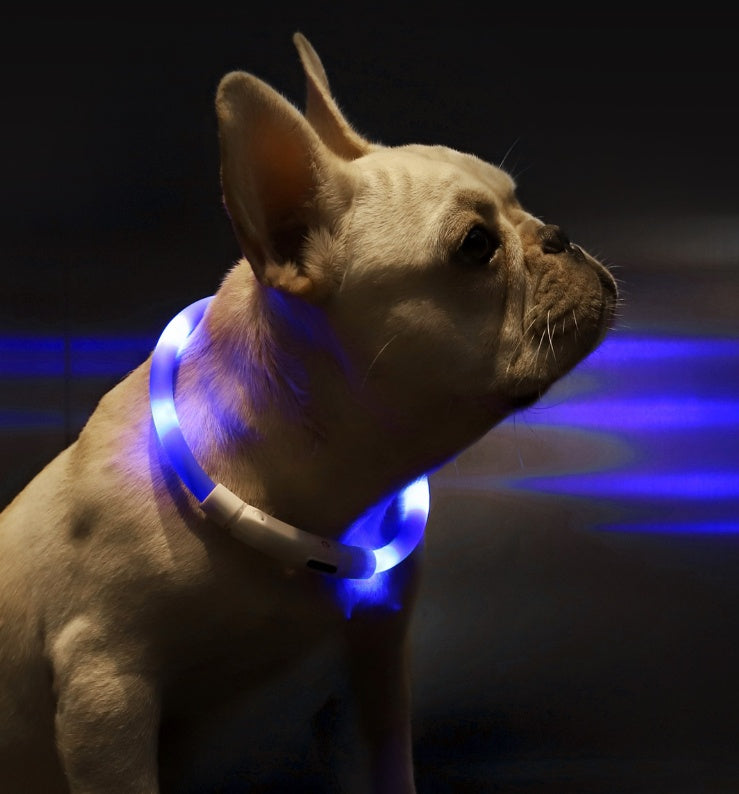 HKM-3432765 LED Pet Safety Collar with Adjustable Modes and USB Charging