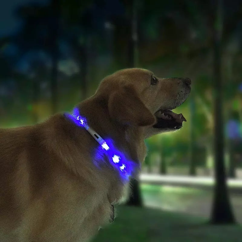 HKM-3432765 LED Pet Safety Collar with Adjustable Modes and USB Charging