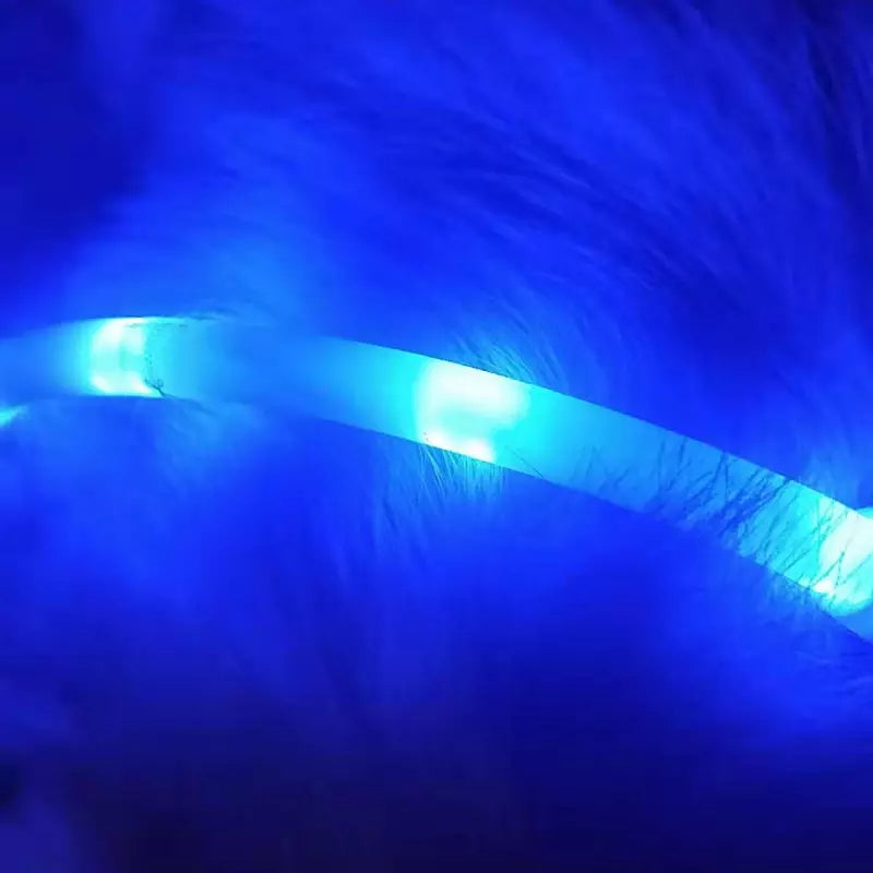 HKM-3432765 LED Pet Safety Collar with Adjustable Modes and USB Charging