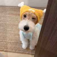HKM-3435709 Golden Chicken Leg Headband with Tomato Sauce & Simulated Necklace for Pets
