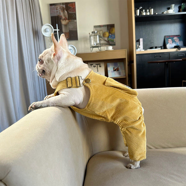 HKM-3436477 Corduroy Jumpsuit with Adjustable Three-Dimensional Pocket for Dogs and Cats