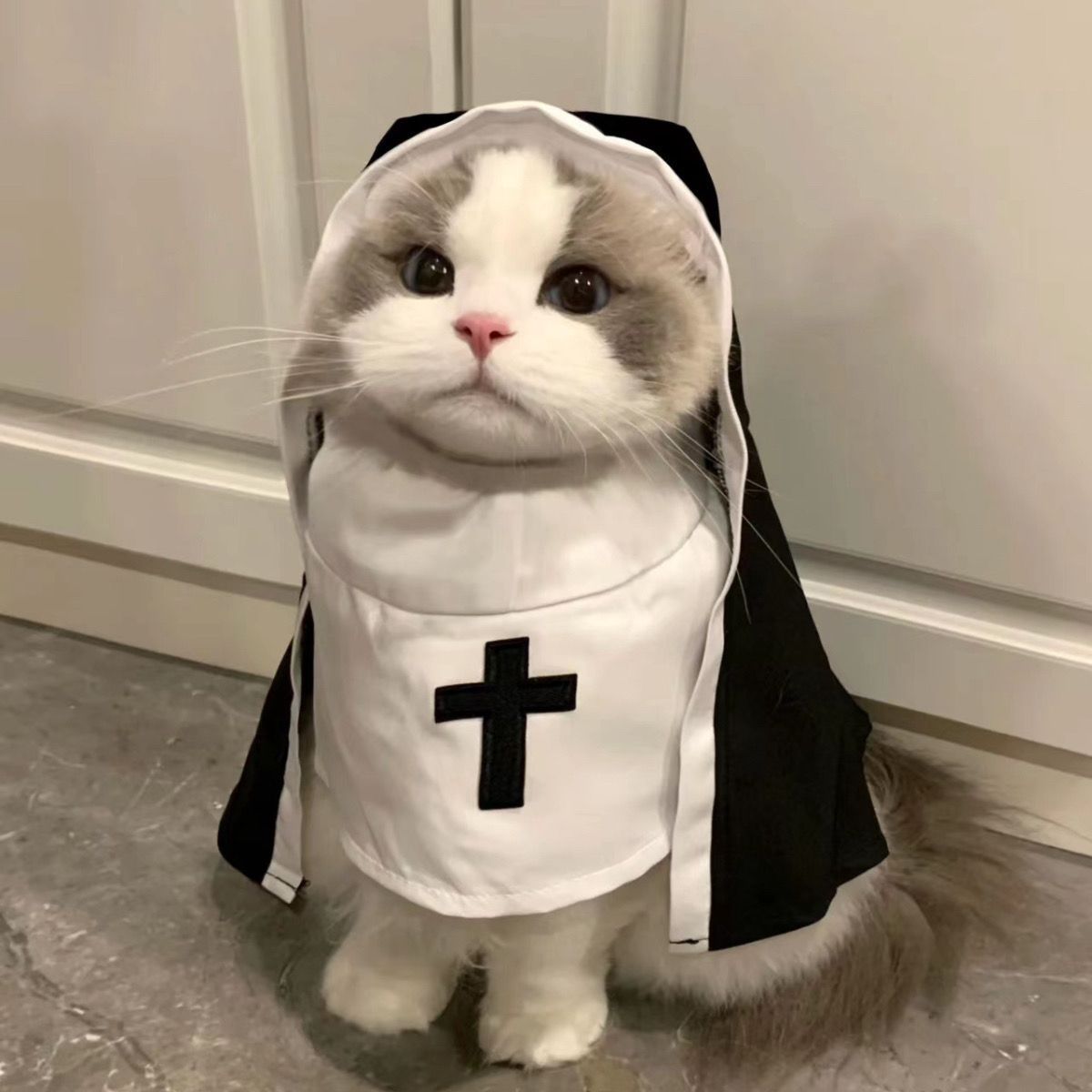 HKM-3437373 Nun Dog Costume for Small to Medium Dogs - Halloween Cloak Outfit for Pets