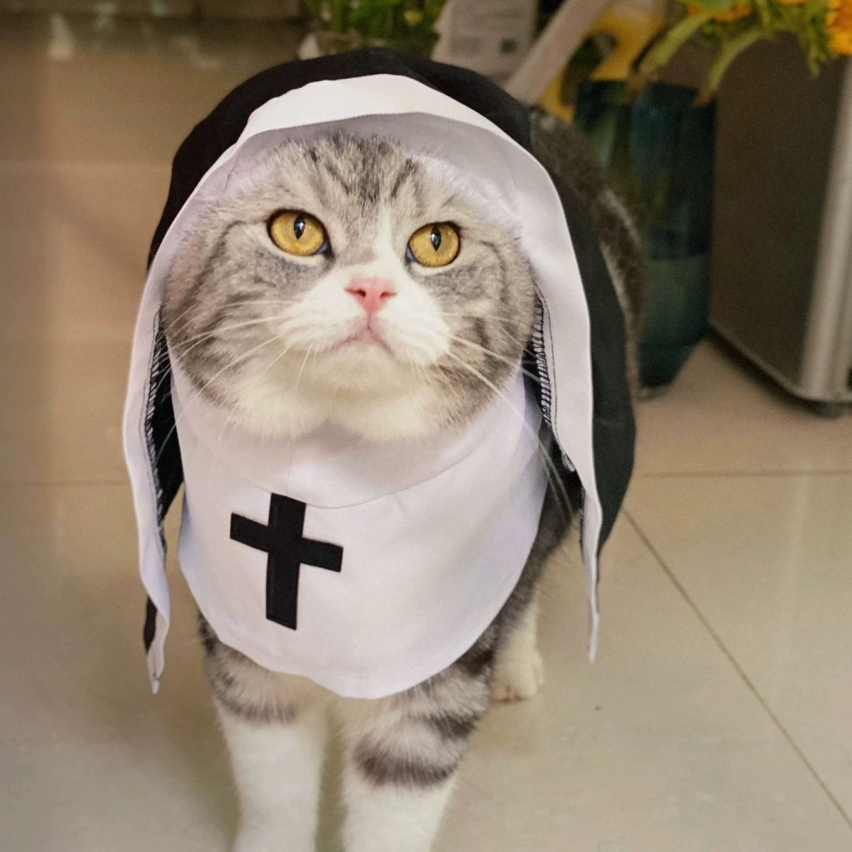 HKM-3437373 Nun Dog Costume for Small to Medium Dogs - Halloween Cloak Outfit for Pets