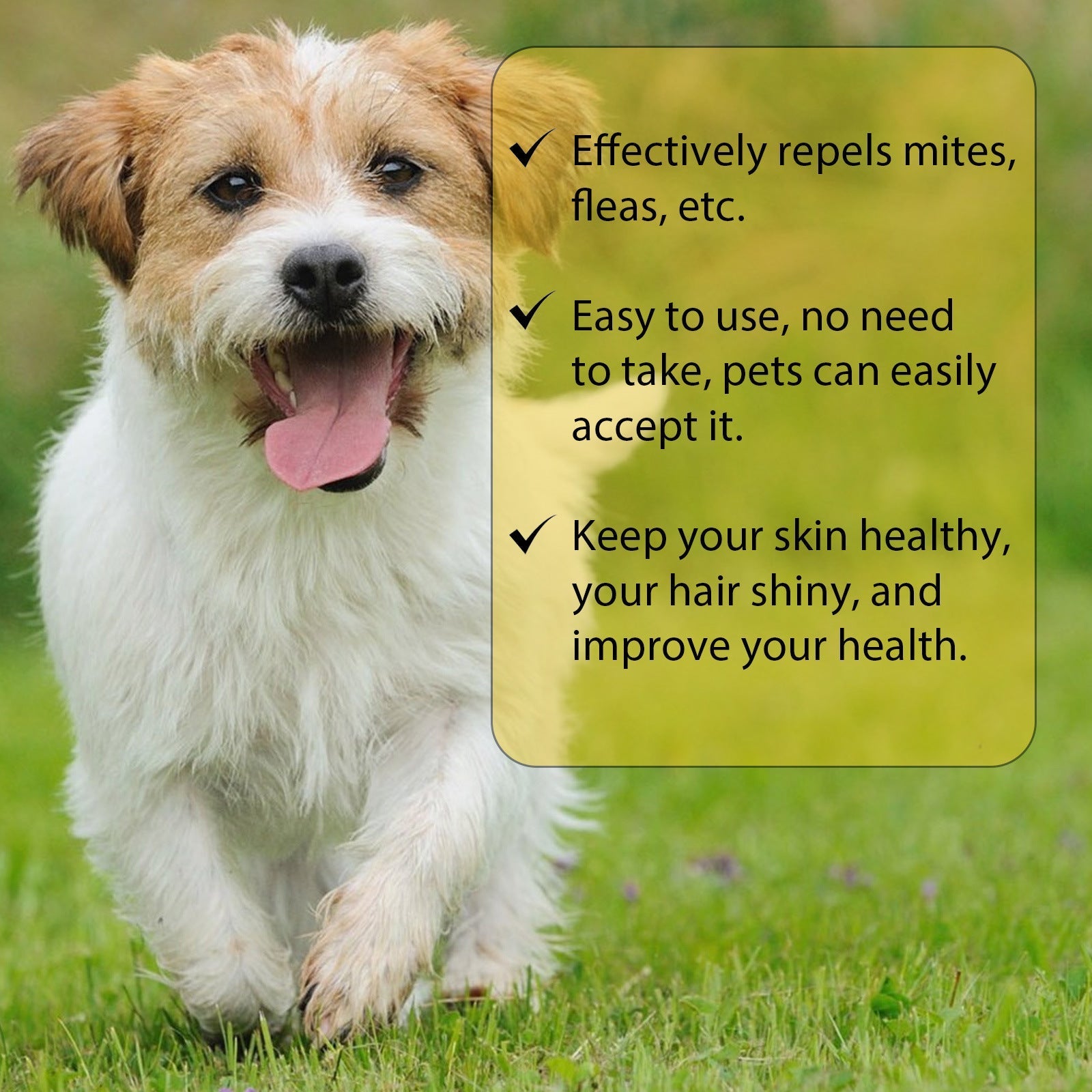 HKM-3438525 Flea and Tick Treatment for Dogs - External Skin Care Drops with Herbal Extracts