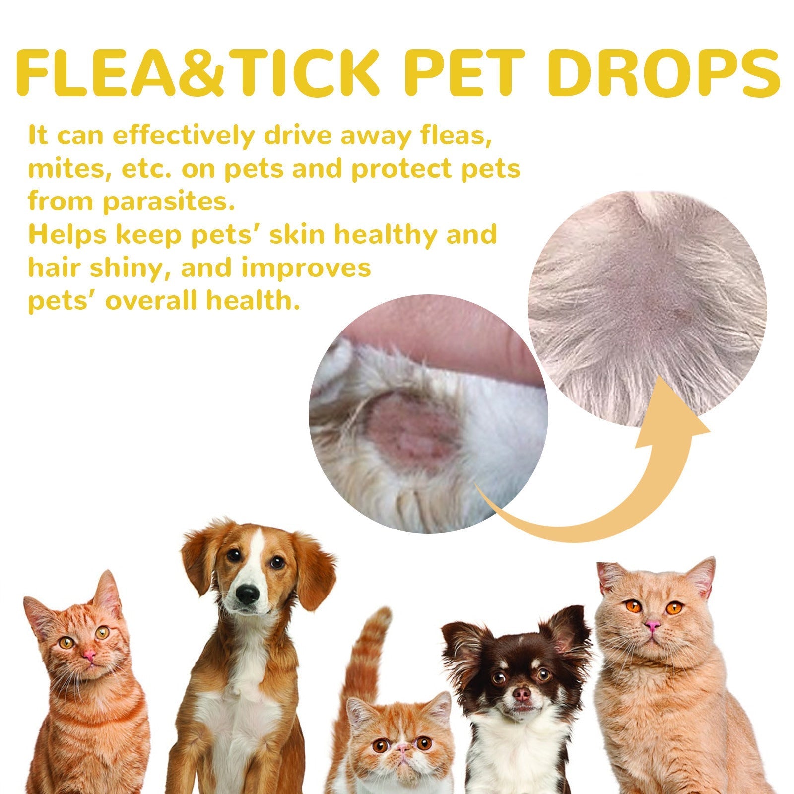 HKM-3438525 Flea and Tick Treatment for Dogs - External Skin Care Drops with Herbal Extracts