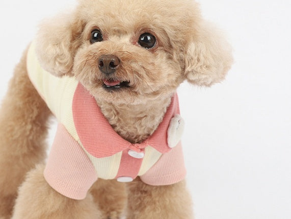 HKM-3442237 Cotton Bipedal Casual Cardigan for Pets - Available in Blue and Pink