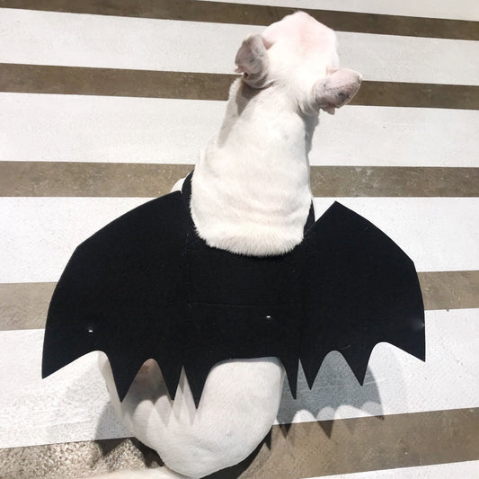 HKM-3443261 Pet Bat Wings Dog Costume Accessory for Small, Medium, and Large Pets