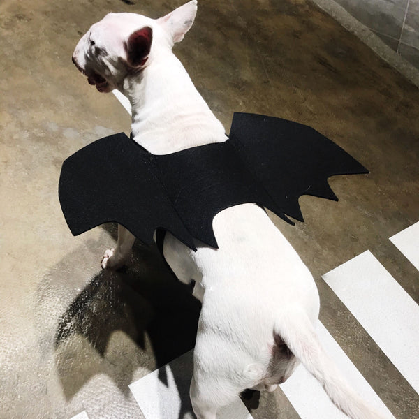 HKM-3443261 Pet Bat Wings Dog Costume Accessory for Small, Medium, and Large Pets