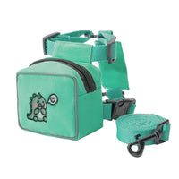 HKM-3445437 Korean Style Pet Backpack with Holding Rope in Purple, Yellow, and Green