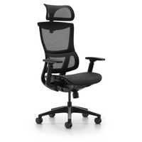 HKM-345043 Ergonomic High Back Mesh Office Chair with Comfortable Support