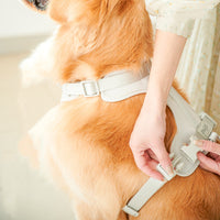 HKM-3450685 Adjustable Harness Vest for Large and Small Dogs - Comfortable Fit for Outdoor Walking
