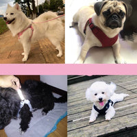 HKM-3456445 Lightweight Scalable Reflective Dog Traction Rope with Chest Strap - Multiple Colors Available