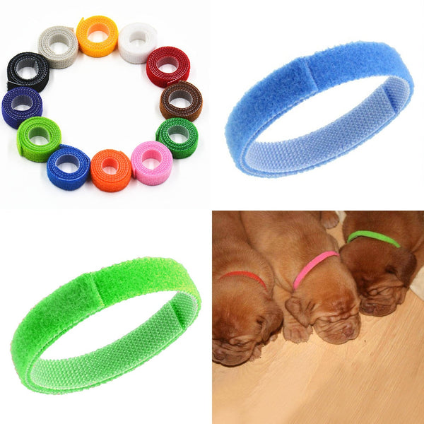 HKM-3459133 Adjustable Rainbow Velcro Identification Collar for Kittens and Puppies, Soft Nylon, Perfect for Newborn Pets