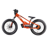 HKM-346003 20 Inch Electric BMX Bicycle for Kids with 600W Hub Motor, Hydraulic Suspension, 3 Speeds