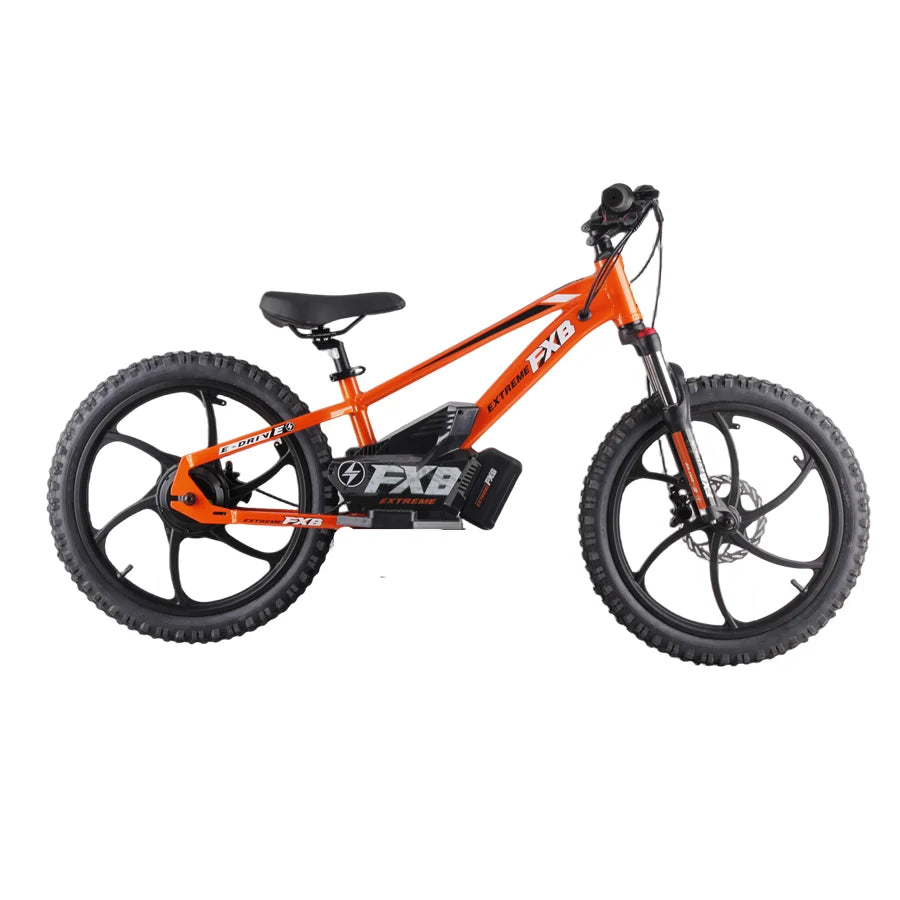 HKM-346003 20 Inch Electric BMX Bicycle for Kids with 600W Hub Motor, Hydraulic Suspension, 3 Speeds