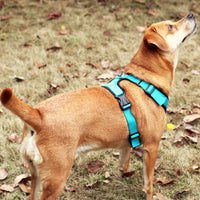HKM-3462205 Reflective Mesh I-shaped Dog Chest Harness ¨C Breathable & Lightweight, Available in Multiple Colors