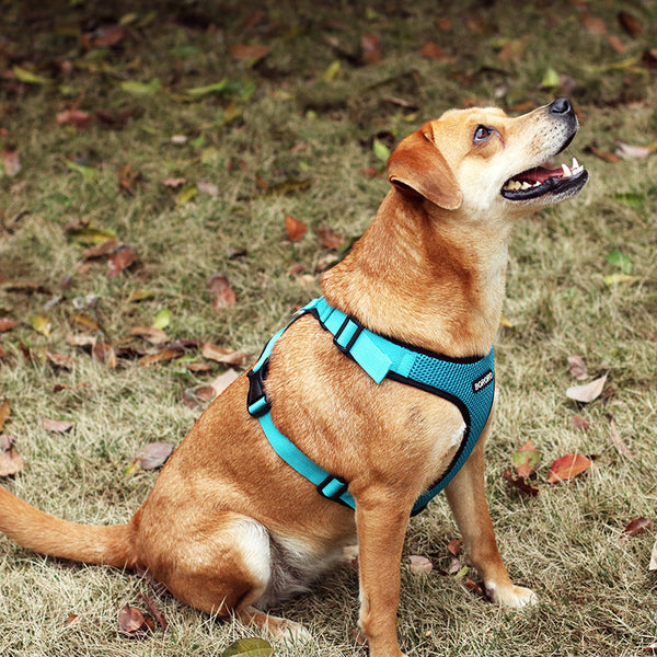 HKM-3462205 Reflective Mesh I-shaped Dog Chest Harness ¨C Breathable & Lightweight, Available in Multiple Colors