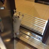 HKM-3464765 Telescopic Safety Gate for Pets and Children - Adjustable 50-120CM, Easy Installation, Sturdy Design