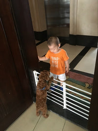 HKM-3464765 Telescopic Safety Gate for Pets and Children - Adjustable 50-120CM, Easy Installation, Sturdy Design