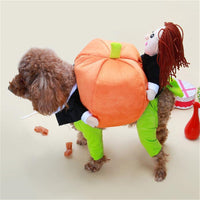 HKM-3467069 Cute Pet Halloween Pumpkin Costume for Autumn and Winter Wear