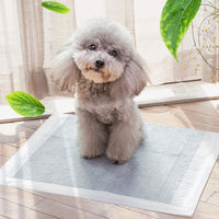 HKM-346771 Pet Diapers - Non-Woven Material, Available in S, M, L, XL Sizes