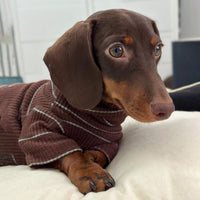 HKM-3468477 Men's Cold Proof Bottoming Apparel in Various Sizes for Pet Wear