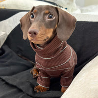 HKM-3468477 Men's Cold Proof Bottoming Apparel in Various Sizes for Pet Wear