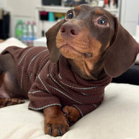 HKM-3468477 Men's Cold Proof Bottoming Apparel in Various Sizes for Pet Wear