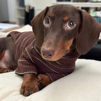 HKM-3468477 Men's Cold Proof Bottoming Apparel in Various Sizes for Pet Wear