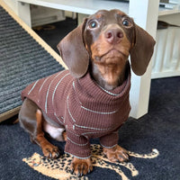 HKM-3468477 Men's Cold Proof Bottoming Apparel in Various Sizes for Pet Wear