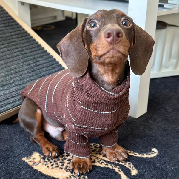 HKM-3468477 Men's Cold Proof Bottoming Apparel in Various Sizes for Pet Wear