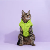 HKM-3474237 Fluorescent Green Winter Vest for Dogs and Cats with Matching Scarf, Soft Polyester Fiber, Anti-Lint Design, Casual Style