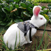 HKM-3478205 Pet Chest Strap with Rabbit Design and Traction Rope ¨C Various Dress Styles Available