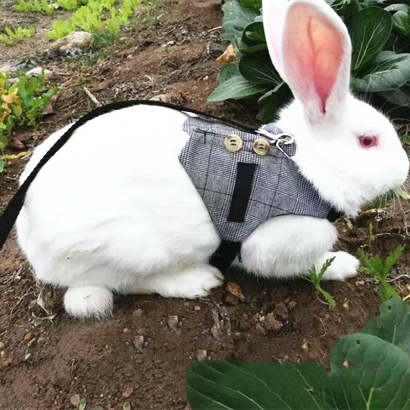HKM-3478205 Pet Chest Strap with Rabbit Design and Traction Rope ¨C Various Dress Styles Available