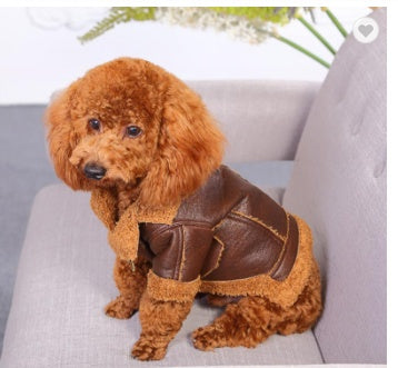 HKM-3479485 Punk Style PU Leather & Teddy Cashmere Dog Sweater for All Breeds