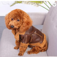 HKM-3479485 Punk Style PU Leather & Teddy Cashmere Dog Sweater for All Breeds