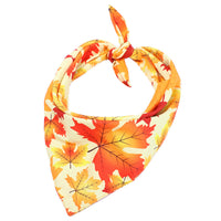 HKM-3481789 Thanksgiving Turkey Pet Costume for Small to Medium Pets - Fits Neck Circumference 25-48CM