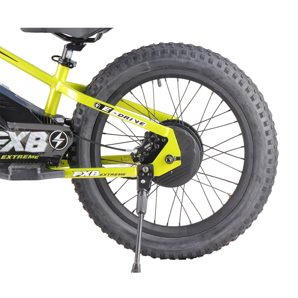 HKM-348307 20-Inch Hydraulic Fork Electric Balance Bike with 800W Motor and 3 Speeds