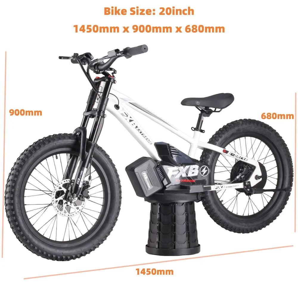 HKM-348307 20-Inch Hydraulic Fork Electric Balance Bike with 800W Motor and 3 Speeds