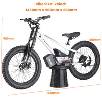 HKM-348307 20-Inch Hydraulic Fork Electric Balance Bike with 800W Motor and 3 Speeds