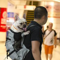 HKM-3486397 Adjustable Outdoor Shopping Backpack for Pets - Polyester, Medium to Soft Hardness, Multiple Sizes Available